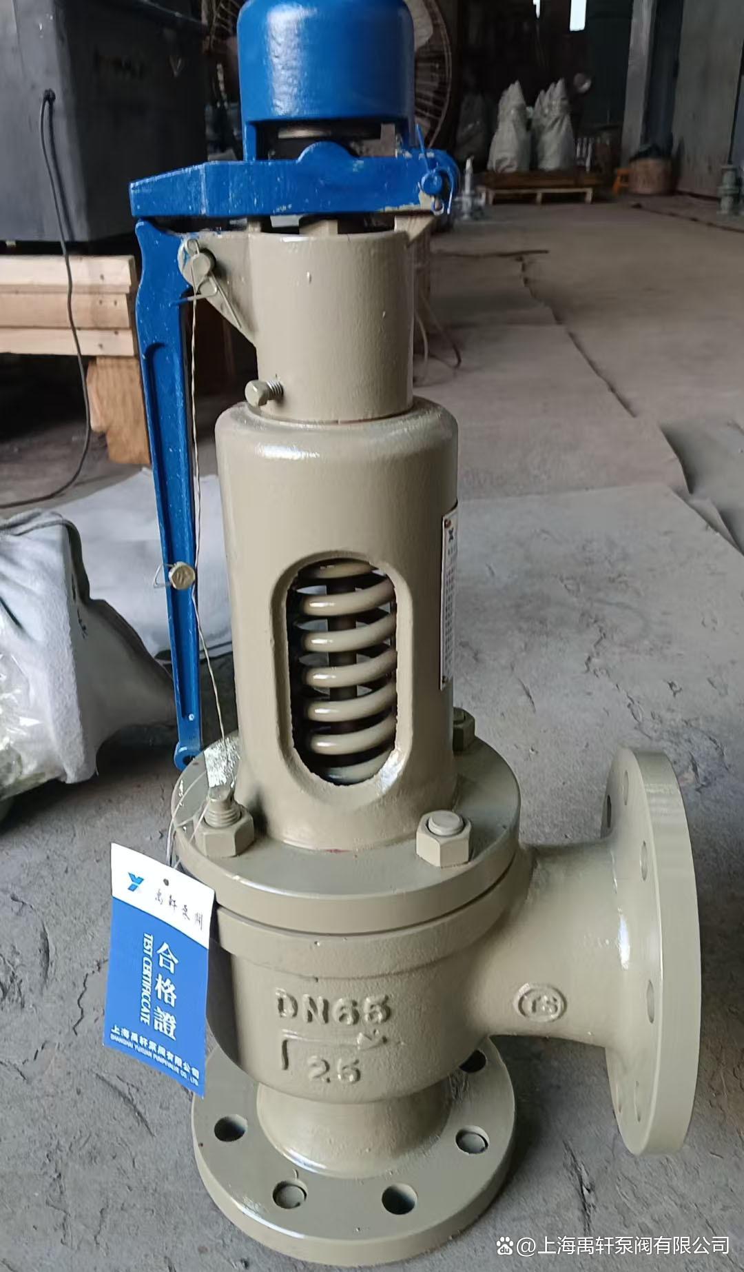 16C-DN50彈簧式安全閥新老交替，助力廣州一廠區設備安全升級